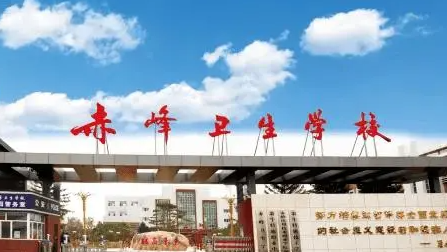 2023內(nèi)蒙古護理學(xué)校有哪些 內(nèi)蒙古護理學(xué)校名單一覽表
