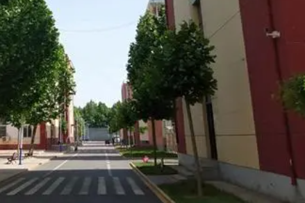 2024廊坊排名前五的消防工程技術(shù)學(xué)校名單