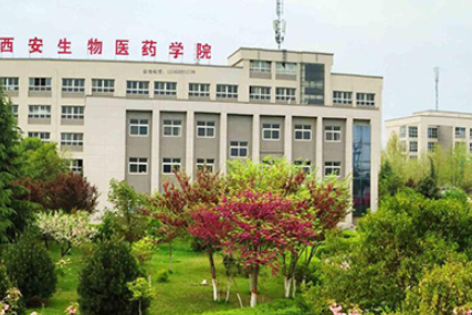 2023陜西公辦消防工程技術學校有哪些 陜西公辦消防工程技術學校名單一覽表