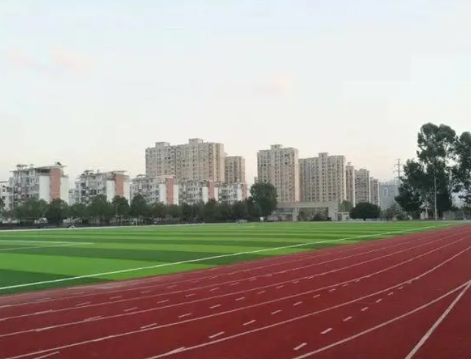 2023金沙高級中學(xué)招生計劃 招生人數(shù)是多少(附要求、條件、對象)