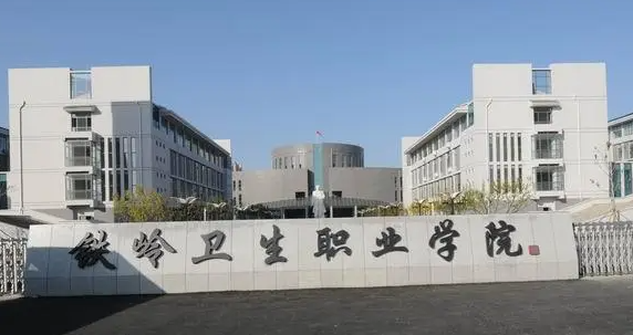 鐵嶺衛(wèi)生職業(yè)學(xué)院錄取規(guī)則2023年