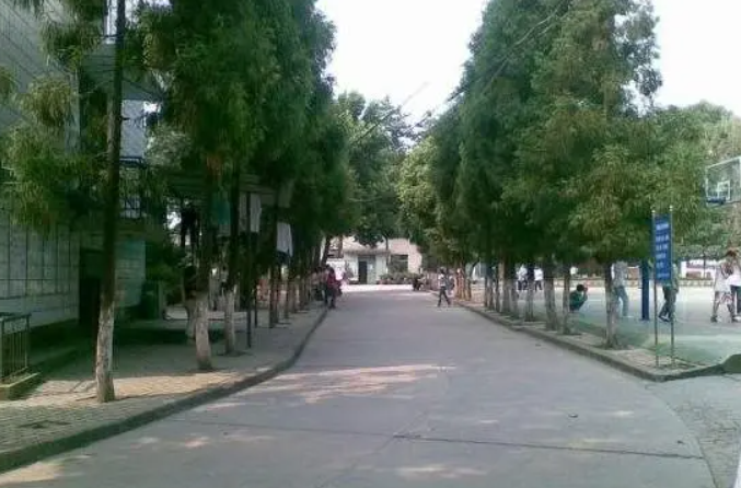 中專學(xué)校可以學(xué)什么 重慶中專學(xué)校專業(yè)介紹