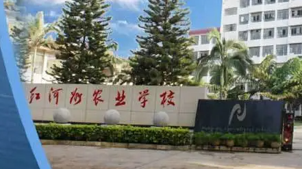 2024紅河排名前五的計(jì)算機(jī)學(xué)校名單