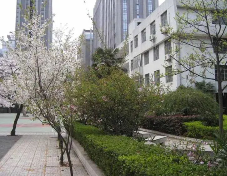 南京市第九中學(xué)震旦校區(qū)歷年招生分?jǐn)?shù)線一覽表(2023參考)