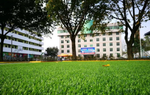 四川2023年上中專學(xué)?？刹豢梢钥即髮W(xué)