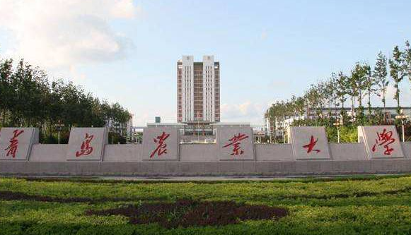 青島農(nóng)業(yè)大學錄取規(guī)則2023年