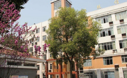 重慶2023年初中畢業(yè)能上中專學(xué)校