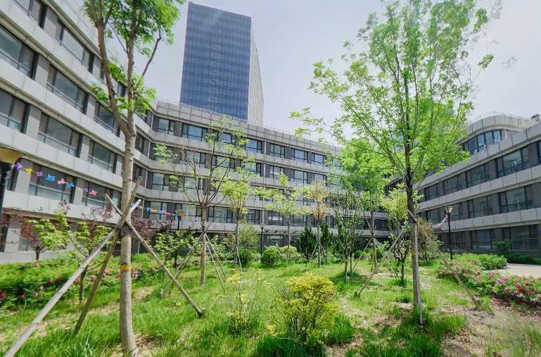2023年濰坊濱海國際學校入學考試