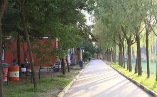 2023西安大中科技技工學校招生計劃 招生人數(shù)是多少(附要求、條件、對象)