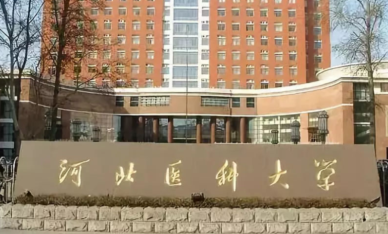 中國(guó)大學(xué)婦幼保健醫(yī)學(xué)專(zhuān)業(yè)排名（研究型）-校友會(huì)2023最新排名