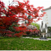江蘇省南菁高級中學(xué)實驗學(xué)校
