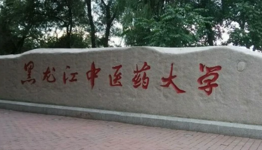 中國大學(xué)中醫(yī)康復(fù)學(xué)專業(yè)排名（研究型）-校友會(huì)2023最新排名