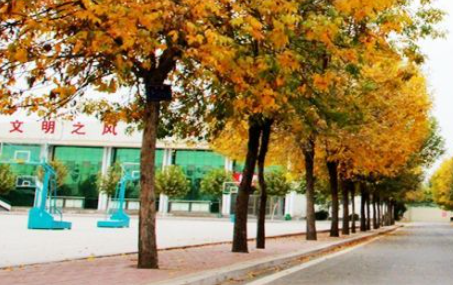 菏澤市定陶區(qū)職業(yè)中等專業(yè)學(xué)校地址，乘車路線