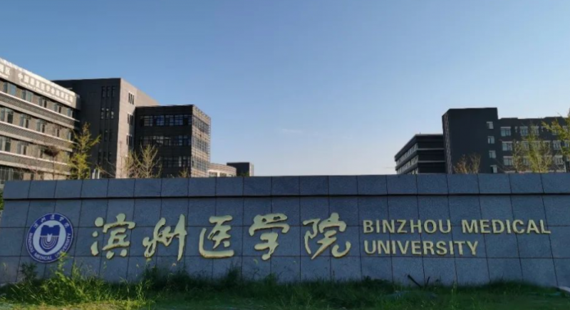 中國(guó)大學(xué)康復(fù)作業(yè)治療專業(yè)排名（應(yīng)用型）-校友會(huì)2023最新排名