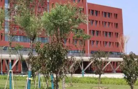 河北2023年上中專學(xué)?？刹豢梢钥即髮W(xué)