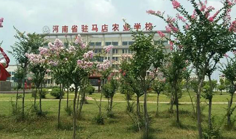 2024河南公辦室內(nèi)設(shè)計(jì)學(xué)校有哪些 河南公辦室內(nèi)設(shè)計(jì)學(xué)校名單一覽表