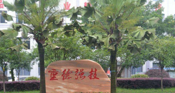 2024周口室內(nèi)設(shè)計(jì)學(xué)校有哪些 周口室內(nèi)設(shè)計(jì)學(xué)校名單一覽表