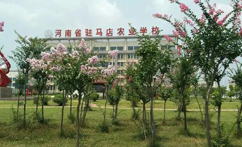 2024駐馬店公辦藥劑學校有哪些 駐馬店公辦藥劑學校名單一覽表