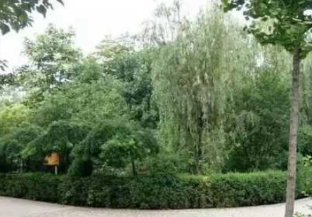 運城市實強(qiáng)汽車科技學(xué)校怎么樣、好不好