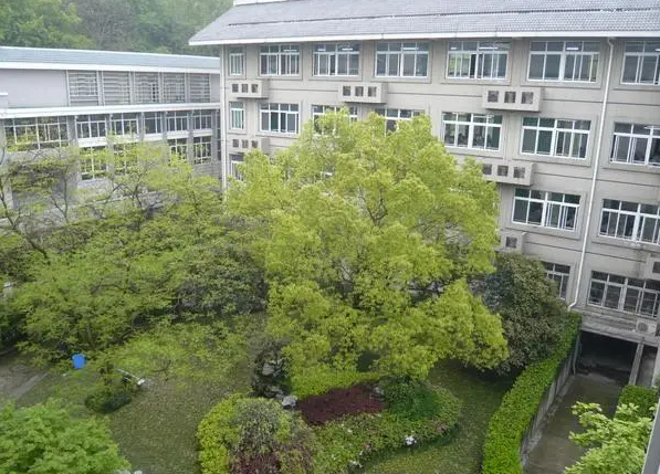 浙江師范大學(xué)附屬中學(xué)怎么樣、好不好