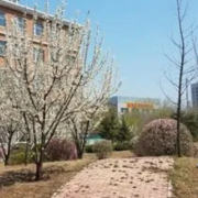 沈陽(yáng)音樂藝術(shù)學(xué)校