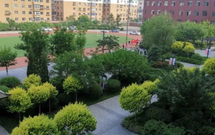2023沈陽(yáng)市外事服務(wù)學(xué)校招生計(jì)劃 招生人數(shù)是多少(附要求、條件、對(duì)象)