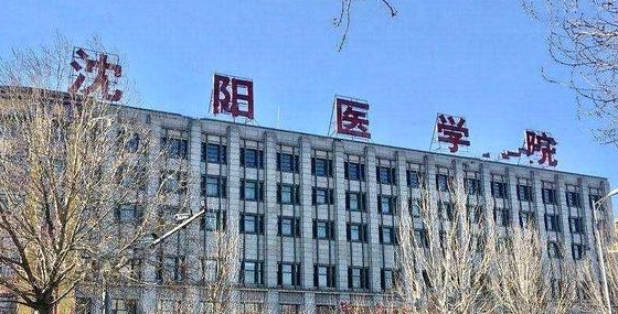 新疆助產(chǎn)專(zhuān)業(yè)大學(xué)排名及分?jǐn)?shù)線一覽表