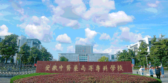 新疆醫(yī)學美容技術專業(yè)大學排名及分數(shù)線一覽表