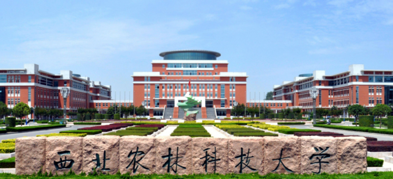 寧夏林學專業(yè)大學排名及分數(shù)線一覽表