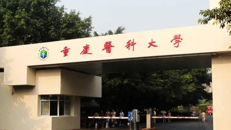 寧夏醫(yī)學影像技術(shù)專業(yè)大學排名及分數(shù)線一覽表