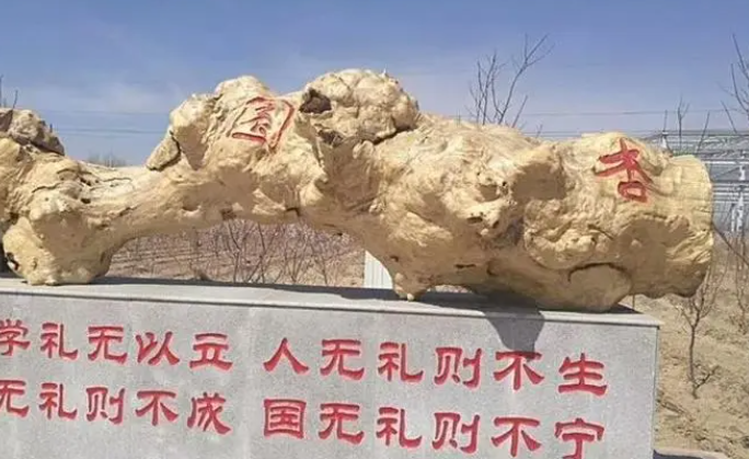 臺安縣職業(yè)教育中心招生簡章2023年
