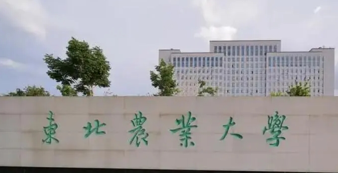 2023東北農(nóng)業(yè)大學排名全國第幾名（2024年參考）