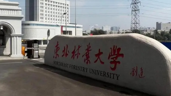 2023東北林業(yè)大學(xué)排名全國第幾名（2024年參考）