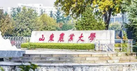 2023山東農(nóng)業(yè)大學(xué)排名全國第幾名（2024年參考）
