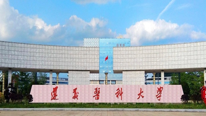 遵義醫(yī)科大學(xué)全國(guó)第幾名（2024年參考）