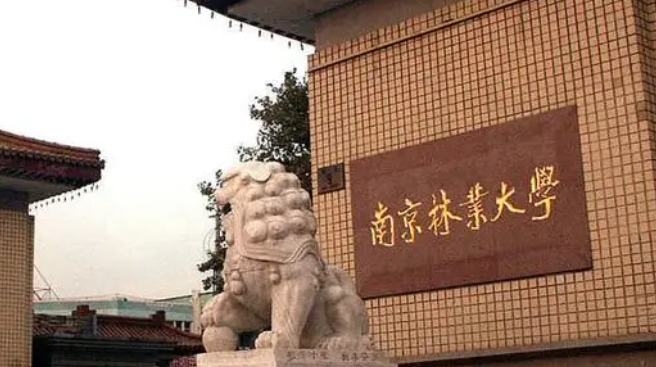 南京林業(yè)大學(xué)全國(guó)第幾名（2024年參考）