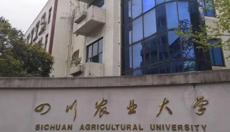 四川農(nóng)業(yè)大學(xué)全國第幾名（2024年參考）