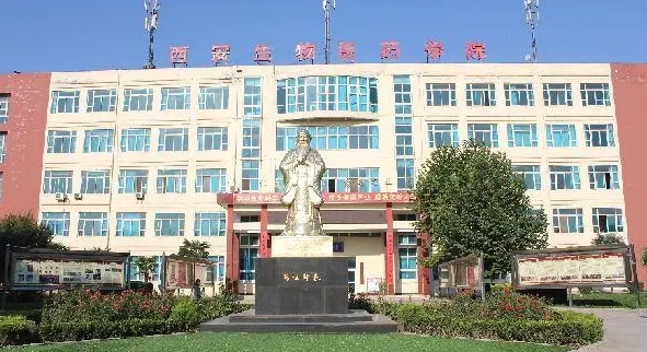 陜西2024年男生上什么中專好