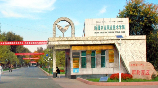2023新疆?？茖W校排名一覽（2024參考）
