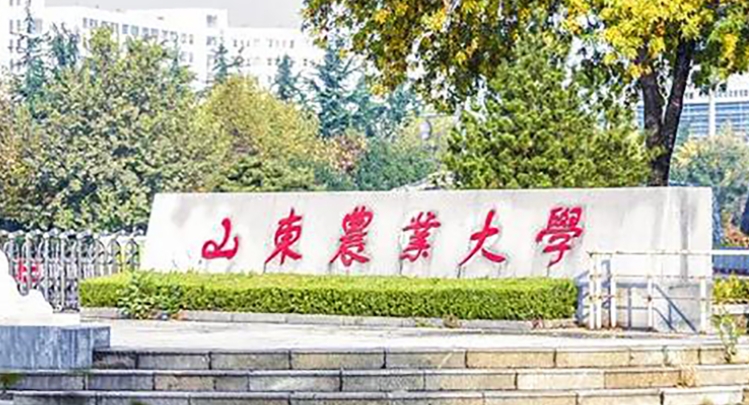 山東最好五個(gè)二本大學(xué)，2023山東二本院校完整名單一覽
