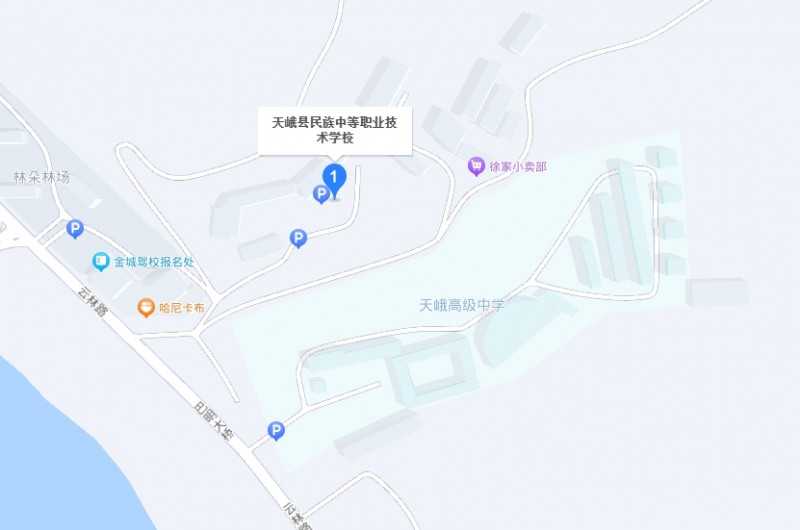 天峨縣民族中等職業(yè)技術(shù)學(xué)校地址，乘車(chē)路線
