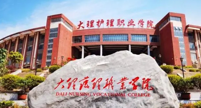 2024大理護理職業(yè)學院重點特色專業(yè)匯總表