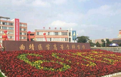 2024曲靖醫(yī)學院重點特色專業(yè)匯總表
