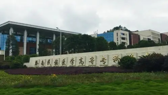 2024黔南民族醫(yī)學(xué)高等?？茖W(xué)校重點特色專業(yè)匯總表