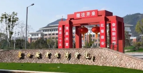 2024麗水職業(yè)技術(shù)學(xué)院重點(diǎn)特色專業(yè)匯總表