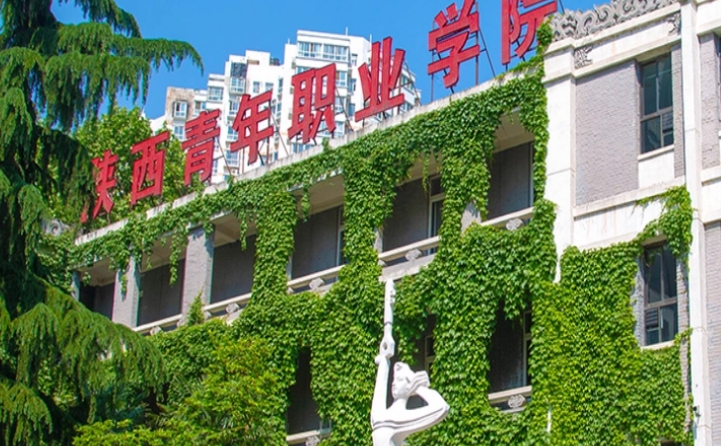 2024陜西青年職業(yè)學(xué)院重點(diǎn)特色專業(yè)匯總表