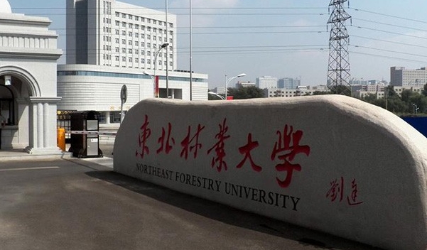 東北林業(yè)大學評價怎么樣,學校好不好