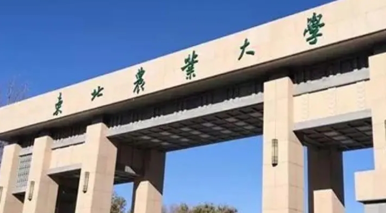東北農(nóng)業(yè)大學(xué)評(píng)價(jià)怎么樣,學(xué)校好不好