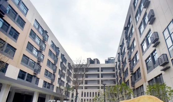 2023湛江經(jīng)濟(jì)技術(shù)開發(fā)區(qū)一中錄取分?jǐn)?shù)線(2024年參考)