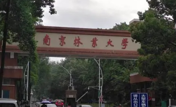 南京林業(yè)大學(xué)是什么樣的大學(xué) 985還是211高校（附王牌特色專業(yè)）